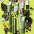 ELEMIS Superfood Facial Oil - Поживна олія для обличчя